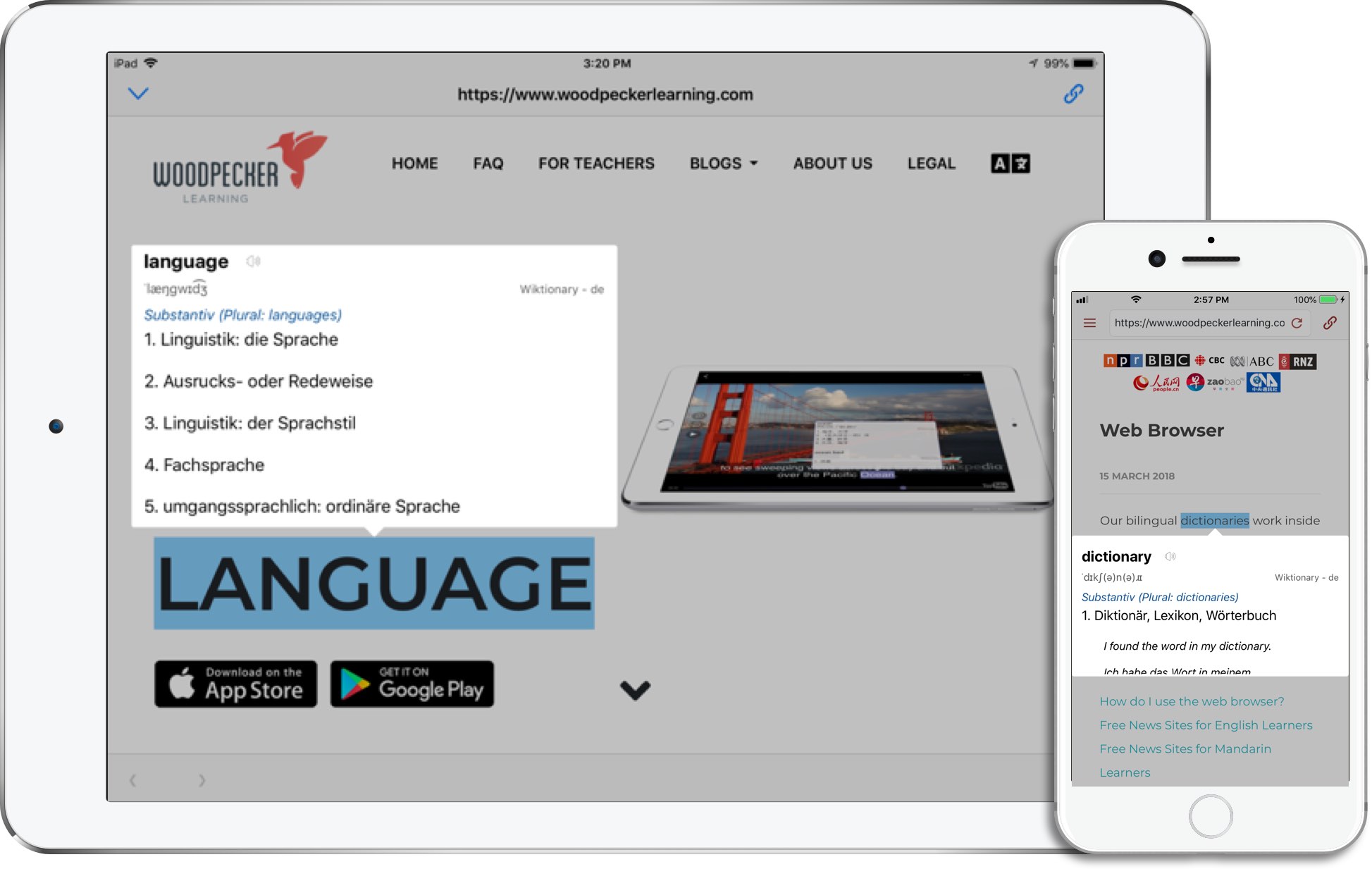 Woodpecker Learning Immerse & Understand